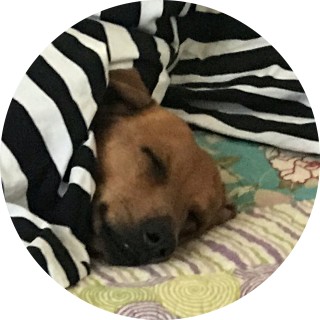 big_beenzr_overrated avatar