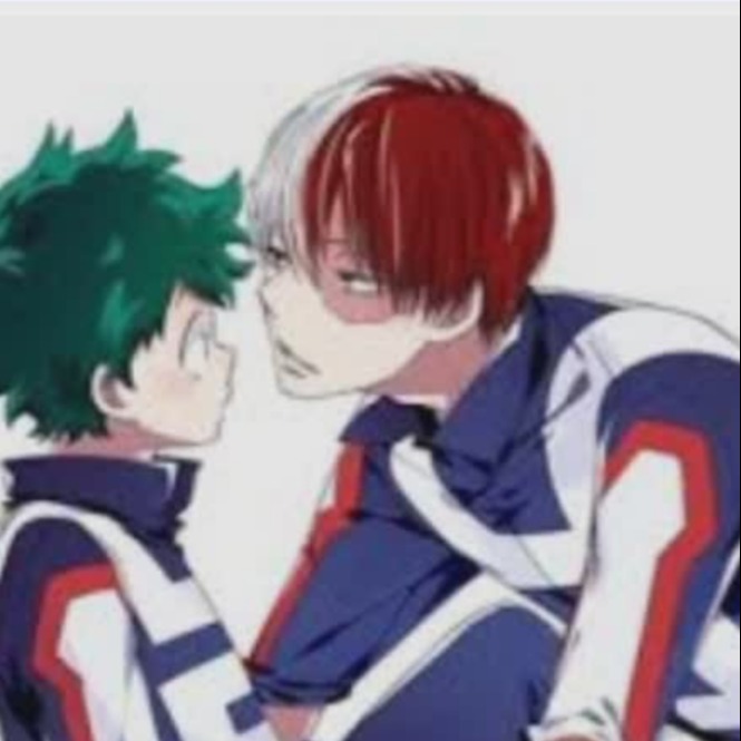 Shoto_Todoroki12345 avatar