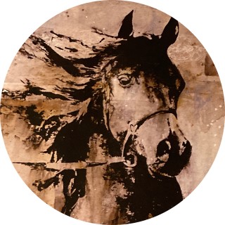 Kaitlyn_the_horse avatar