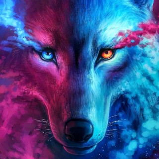 coolgamer_15HD avatar