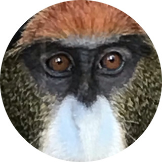 he_needs_some_milk_ avatar