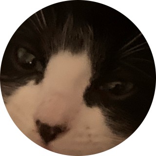 banana27ziggy avatar