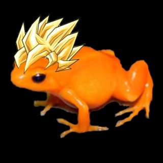 ssj_frog avatar