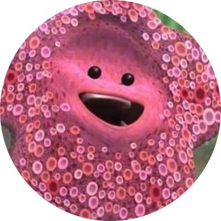 yourspecialmemes