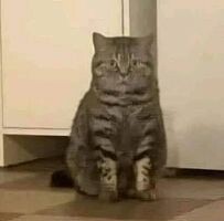 aymenekerkatou9 avatar