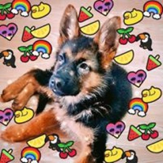 enerelbaska0512 avatar