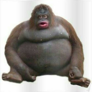 LegendarySama avatar