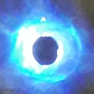 Tyrexramz0126 avatar