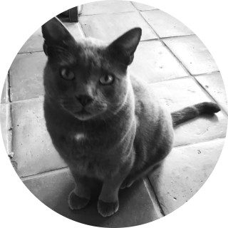 Jeffboi6666666 avatar