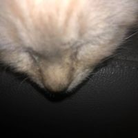 jmhernandez923 avatar