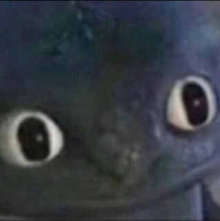 toothlessstaringmemeisthegoat avatar