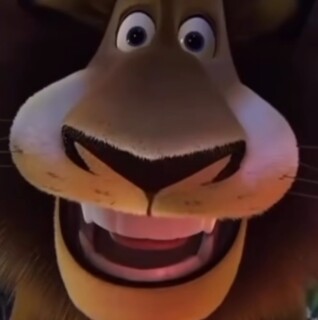 not_the_memer avatar