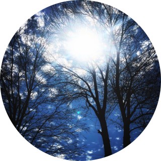 animallover70 avatar