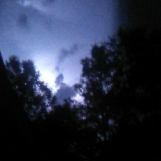 picklesDaScienti avatar