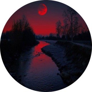 marahmccormick avatar