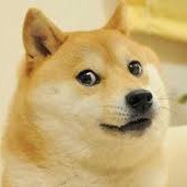 Thesuperboy548 avatar