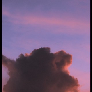 Postivestarsbloom avatar