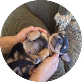 pedro_da_memer avatar