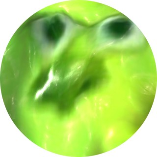 beeandpuppycat_winkwink avatar