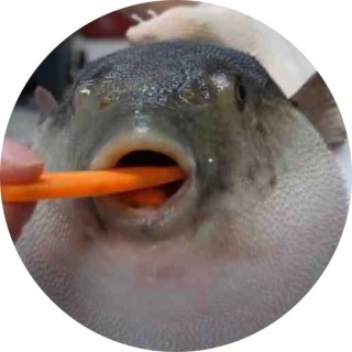 skylarplayz13415 avatar