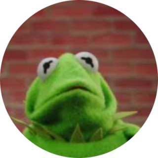 the_meme_nuggets avatar