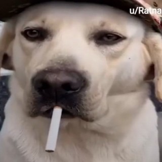 anuragsingha80 avatar