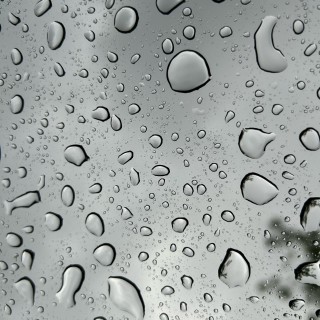 Alexander_hehe avatar