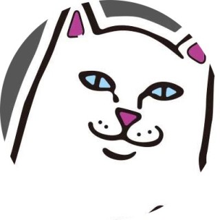 skiitieofficial avatar