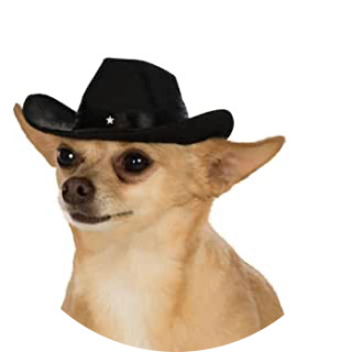 fresh_memes_if_bel_air avatar