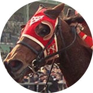 I_AM_HORSE avatar