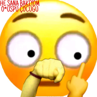 esanliturk027 avatar