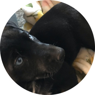 unoriginalgarbage avatar