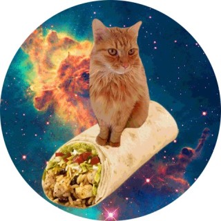 taco_cat_in_the_fart_zone avatar