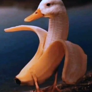 A_mayonnaise_Jar avatar