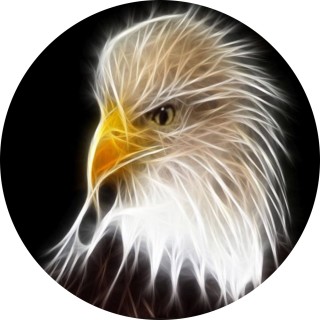 HawksNesT avatar