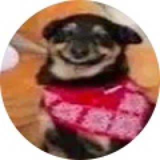 big_toe123333127 avatar