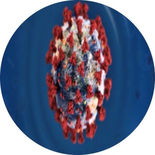 duckvoice2474 avatar