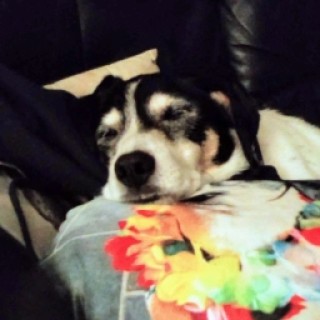 bruh_friedmilk64 avatar