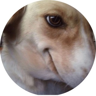 weird_person_oof avatar