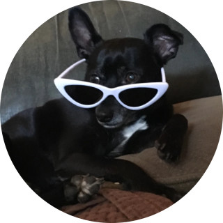 00kaidrawzz00 avatar