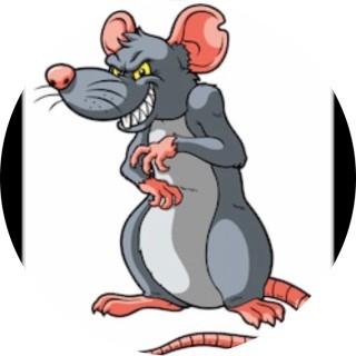 kitchen_rat_894 avatar