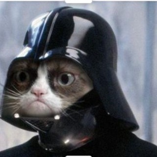 swaggyturtle97 avatar