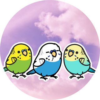 paytonblossom avatar