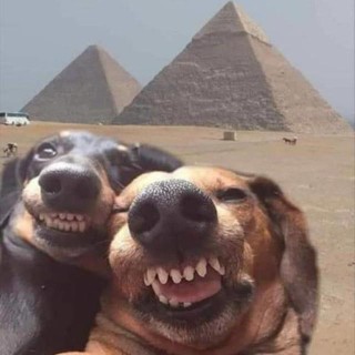 Vegas_south_niccur avatar