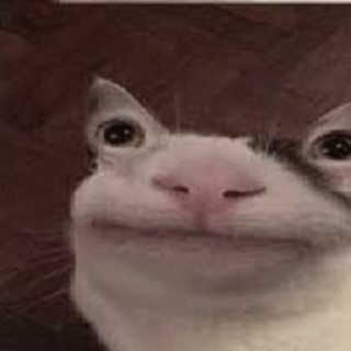 ImaTakeYourMemes avatar