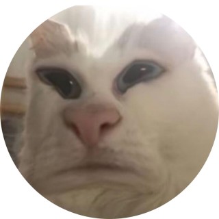 risky_memes13 avatar