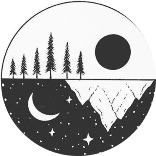 that_one_idiot avatar