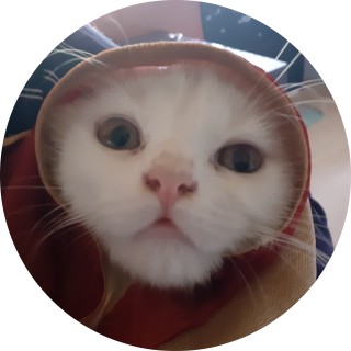 birdie_bacardi avatar