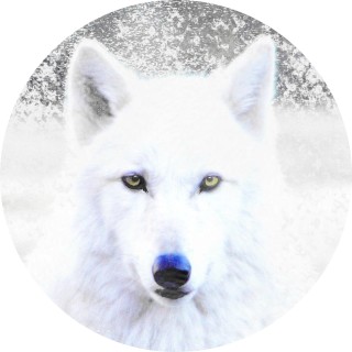 thetomboy2020 avatar