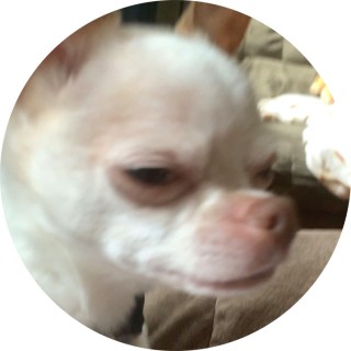 girlgamer14560 avatar